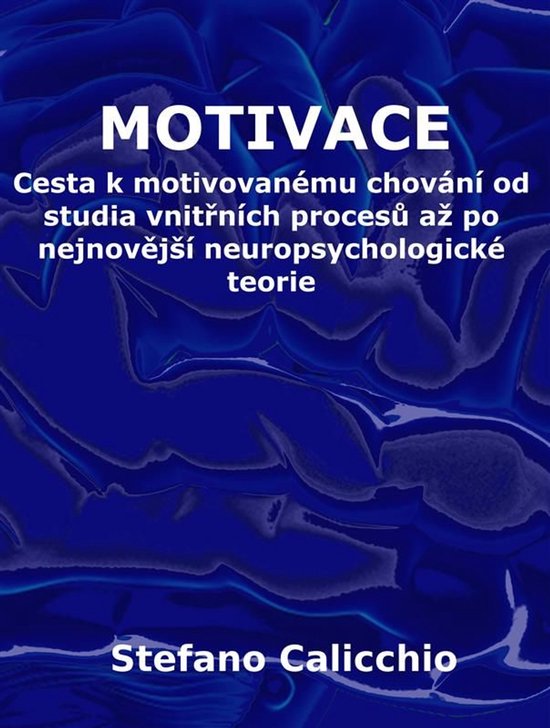 Motivace - cover