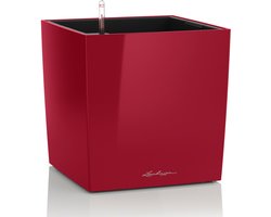 LECHUZA CUBE Premium 40 - Plantenbak - met uitneembare binnenbak - met bewateringssysteem - ALL-IN-ONE set met LECHUZA-PON - scharlakenrood hoogglans