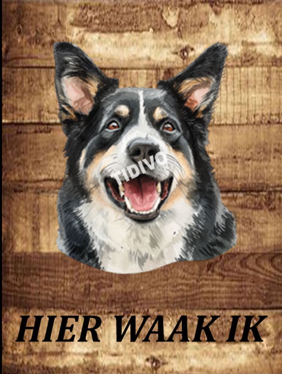 Lapponian Herder 20