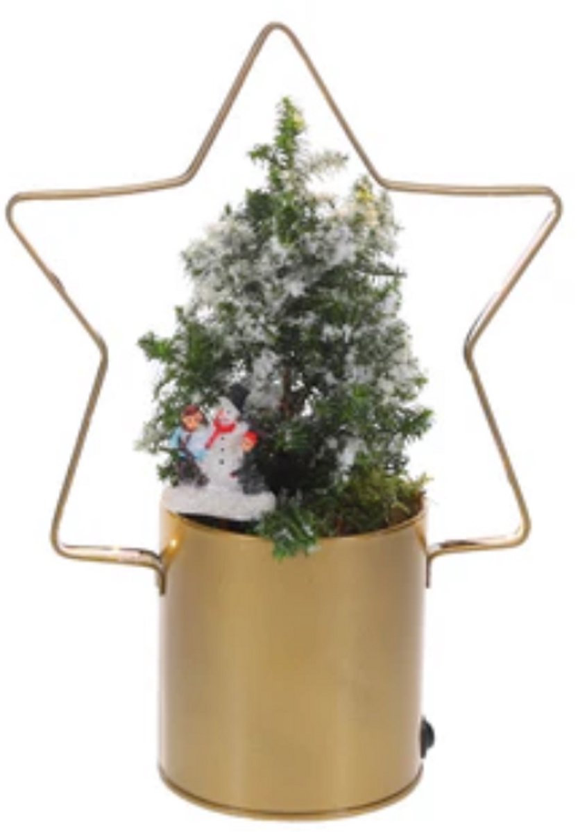 Stijlvol plantenarrangement met gouden kerstboom en verlichting van Lichtplantje-Lighting Star.