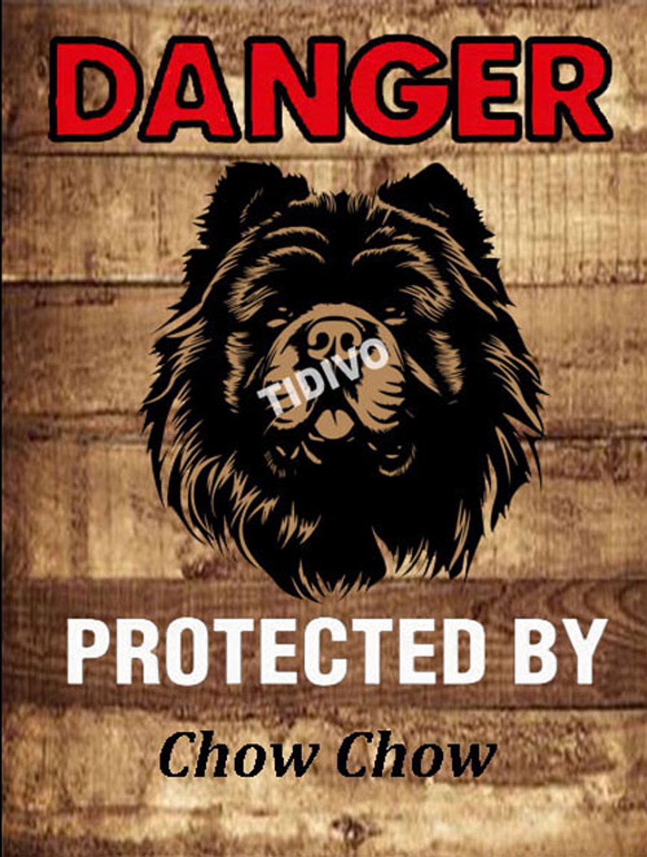 Chow Chow 19