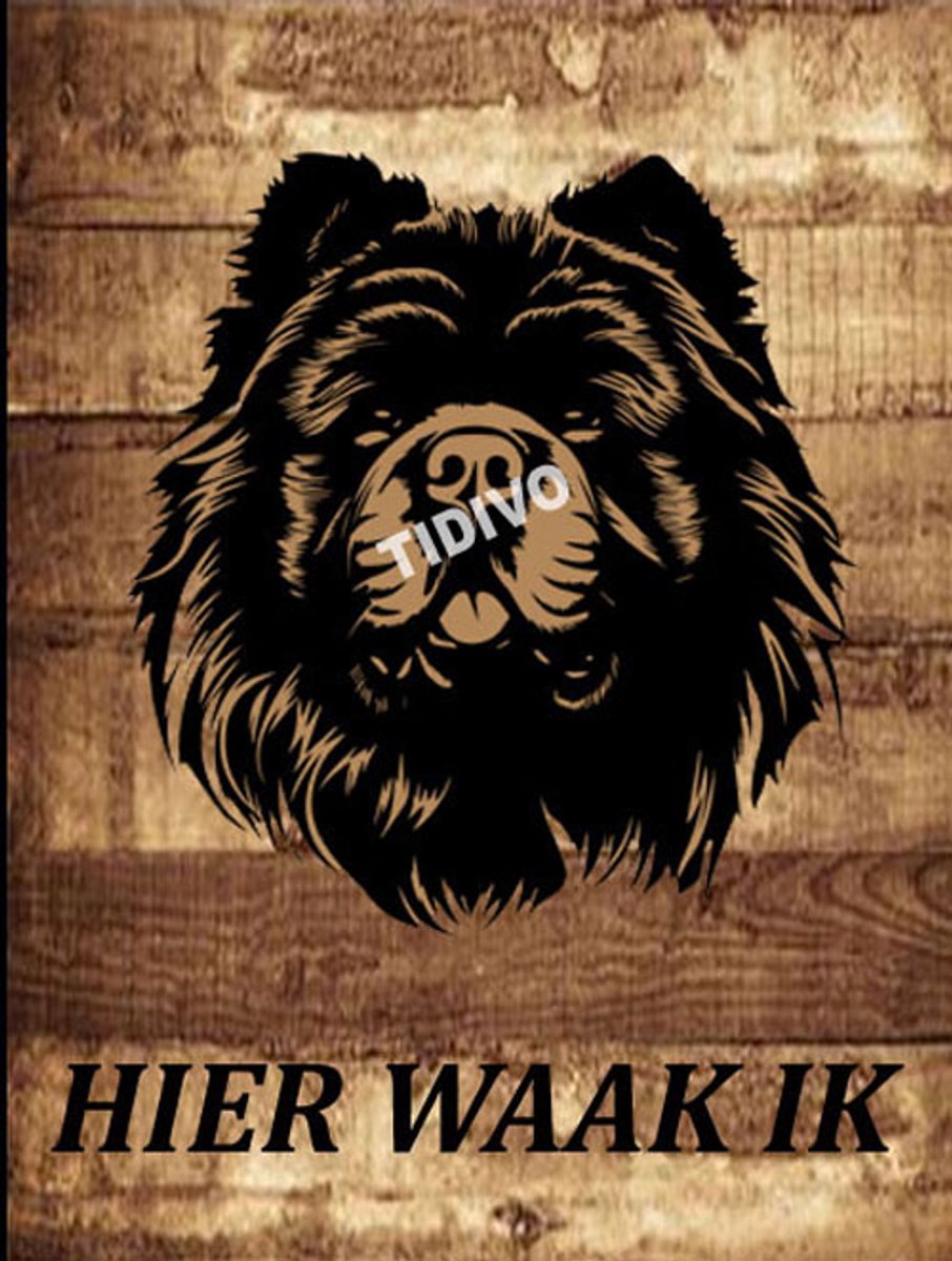 Chow Chow 20
