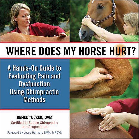 Where Does My Horse Hurt? - cover