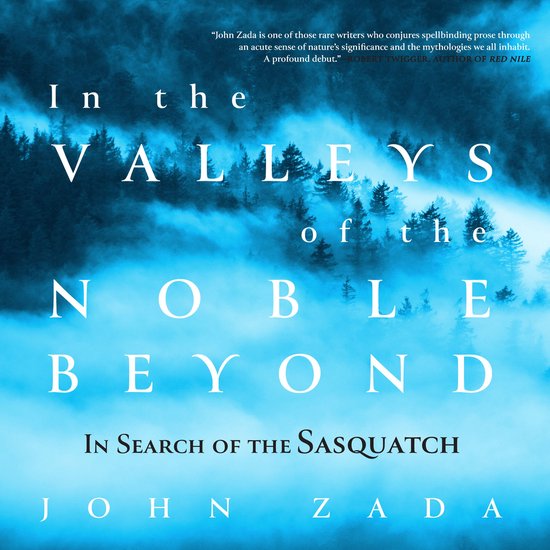 In the Valleys of the Noble Beyond - cover