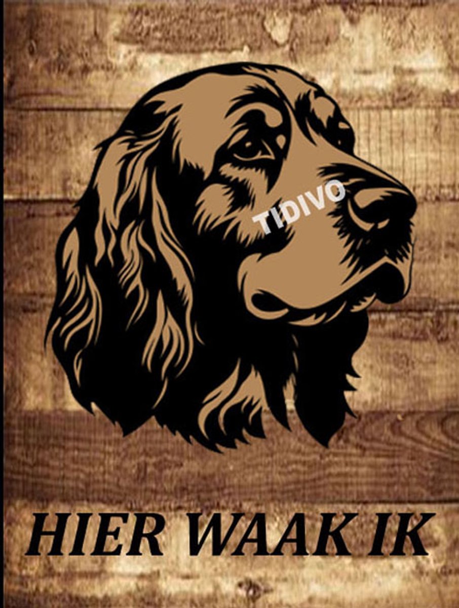 Clumber Spaniel 20