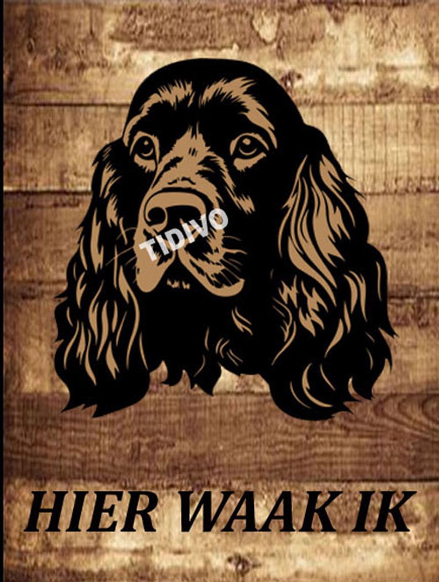 Cocker Spaniel 20