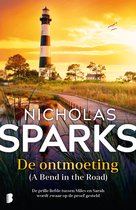 De ontmoeting