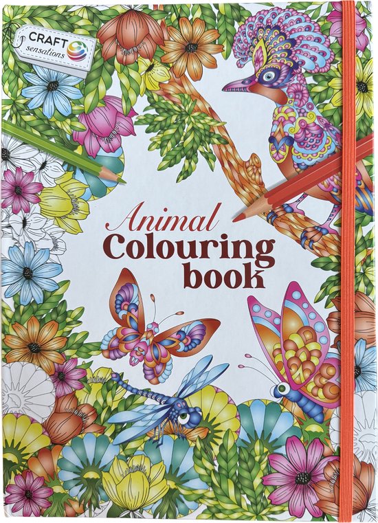 Zenacolor Professionelles Buntstifte Bleistifte Set 72 Malbücher