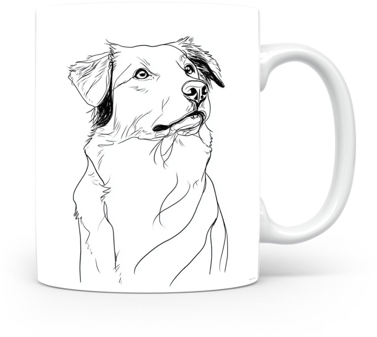 Beker Nova Scotia Duck Tolling Retriever