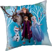 Famille de Sierkussen Disney Frozen - 40 x 40 cm - Polyester