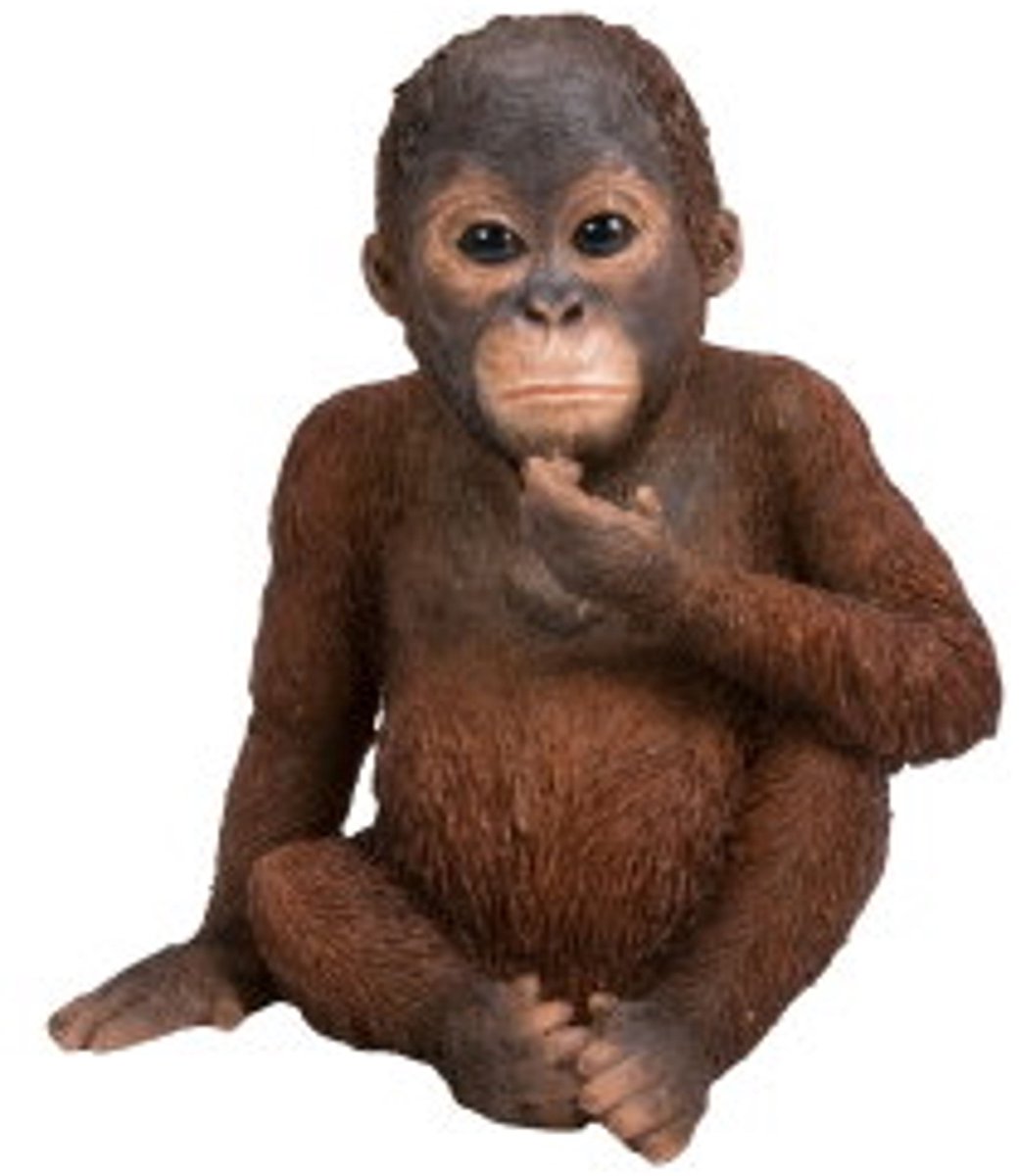 HotAnt Tuinbeeld dieren - Orang-Oetan baby (Polystone) - Voor buiten - Tuin decoratie - Cadeau
