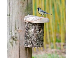 CJ Wildlife Nestkast - Aanbevolen door de Vogelbescherming Nederland - Stockholm - 32mm - Nestkastje voor o.a. Koolmees, Boomklevers & Mussen - Houten Vogelhuisje - FSC-gecertificeerd