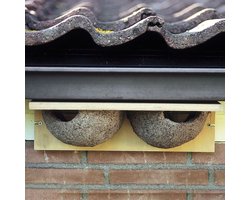 CJ Wildlife Kunstnest voor Huiszwaluw - Dubbel Zwaluwnest - Nestkast voor Zwaluw - Vogelhuis van FSC-gecertificeerd Hout