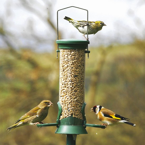 CJ Wildlife Voedersilo voor Tuinvogels - Challenger - 2 Openingen - Vogelvoedersilo voor Kleine Vogels - Hangend Vogelvoederhuisje van 23cm - Vogelvoer Silo - Kunststof - Groen