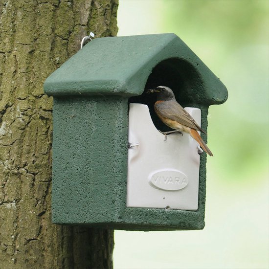 CJ Wildlife Nestkast - Aanbevolen door de Vogelbescherming Nederland - Barcelona - Nestkastje voor o.a. Roodborstjes & Winterkoninkjes - Woodstone Vogelhuisje - FSC-gecertificeerd - Groen