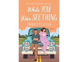 While You Were Seething