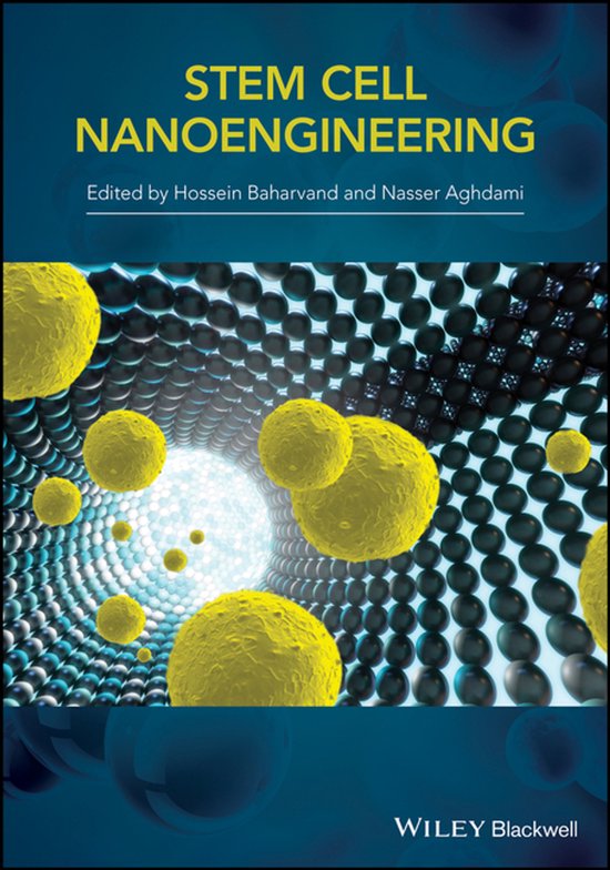 Stem-Cell Nanoengineering - cover