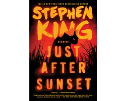 Omslag van JUST AFTER SUNSET