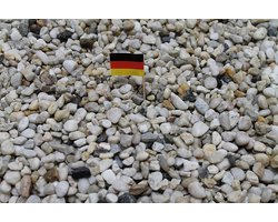 Kwartszand Aquariumgrind Grijs-Wit 8-16 mm Sterke Basis voor Aquaria