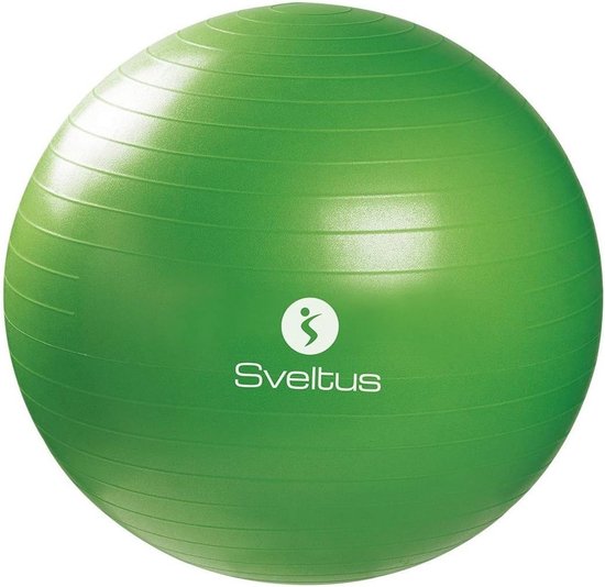 Gymbal 65 cm voor Volwassenen - Perfect voor Pilâtes en Spieropbouw | bol