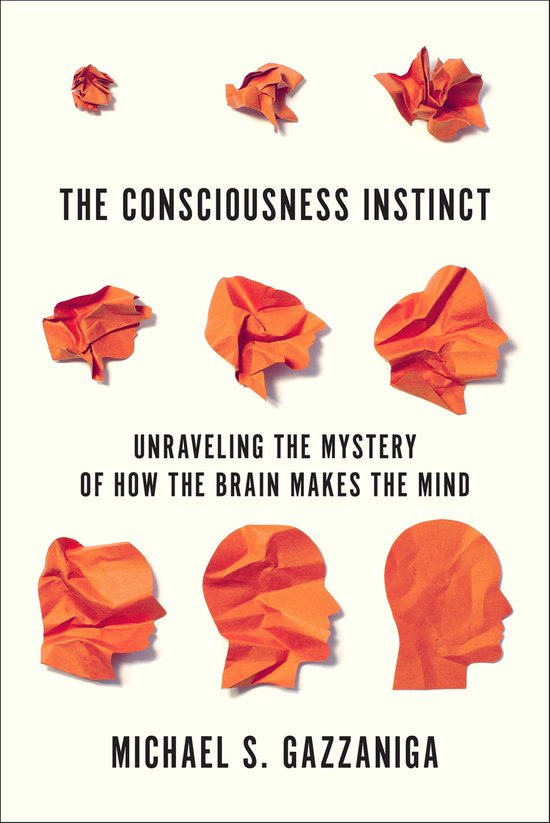 The Consciousness Instinct - cover