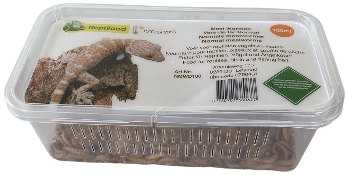 5 bakjes levende meelwormen