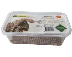5 bakjes levende meelwormen