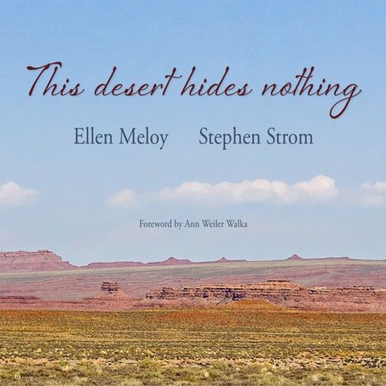 This Desert Hides Nothing - cover