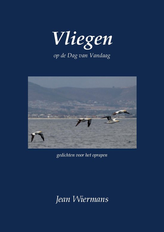 Vliegen