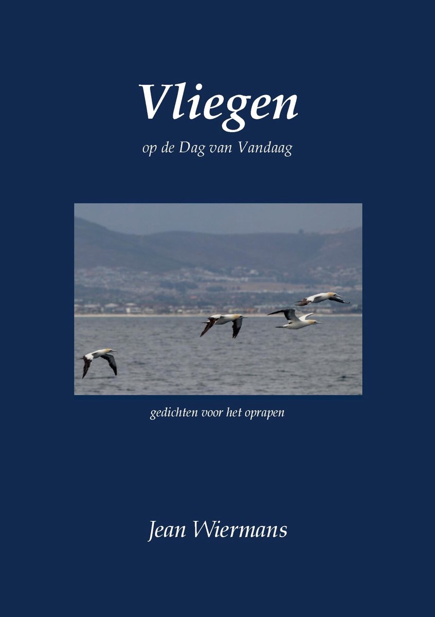Vliegen