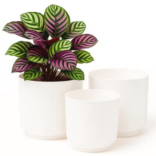Oairse Set van 2 keramische plantenpotten binnen 13 cm 16 cm witte keramische plantenbak met drainagegaten en schotels lade kralen decoratieve bloempotten voor succulente cactus kamerplanten Oairse Set van 2 keramische plantenpotten binnen 13 cm 16 cm witte keramische plantenbak met drainagegaten en schotels lade kralen decoratieve bloempotten voor succulente cactus kamerplanten