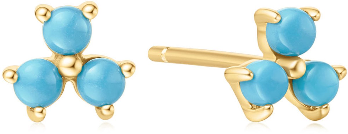 Ania Haie AH E063-04G Chill Voyager Dames Oorbellen - Oorknopjes