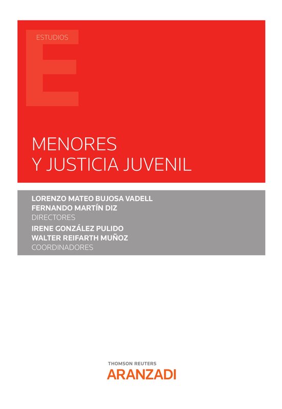 Menores y justicia Juvenil - cover