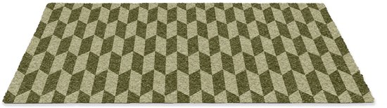 Deurmat 90x60 cm - Droogloopmat Patroon - Abstract - Groen - Vlakken - Mat voor binnen - Schoonloopmat - Deurmatten met print - Inloopmat