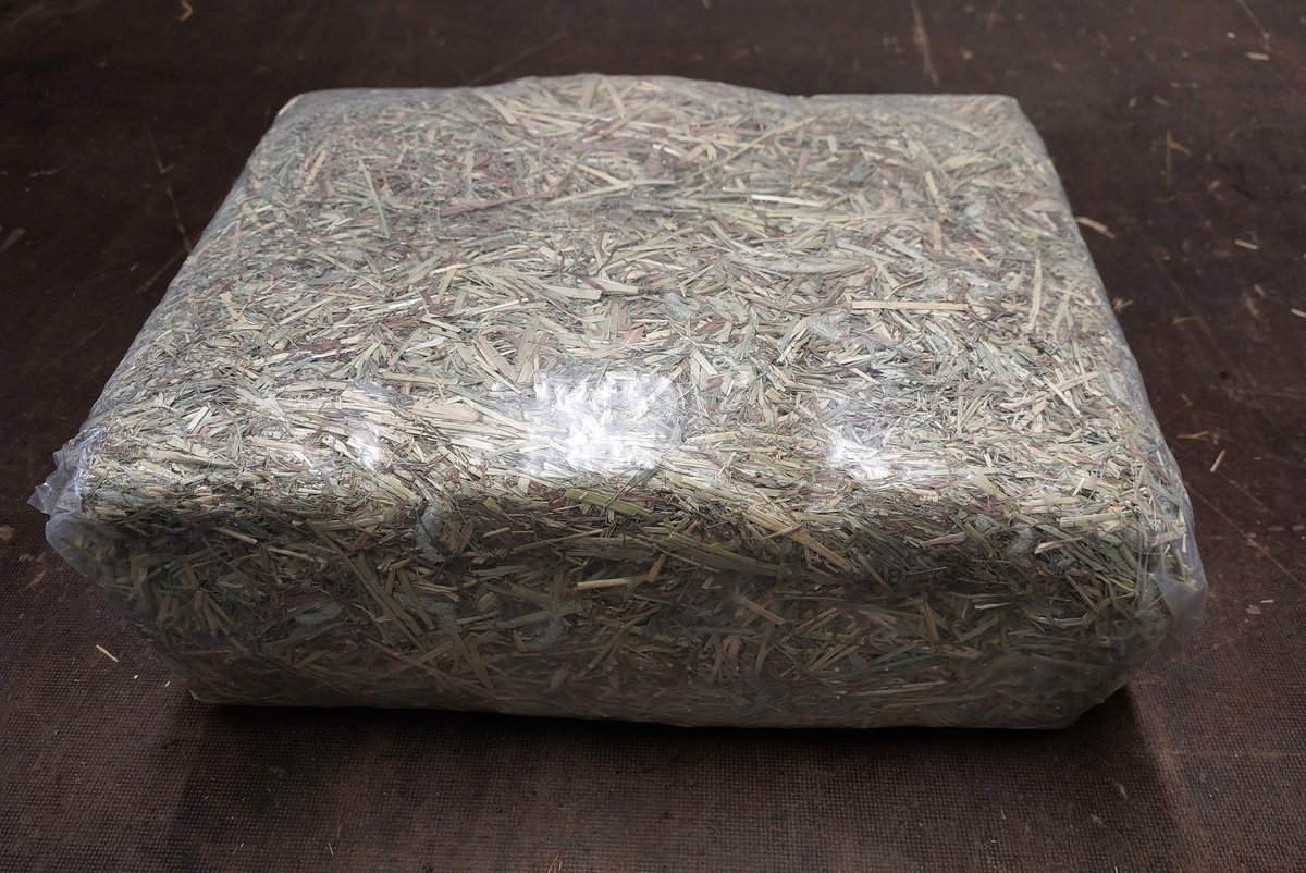 Timothy Hooi - Knaagdieren - Konijnen - Paarden - 4 kg