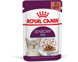 Royal Canin - Sensory Feel Gravy Kattenvoer Nat - 48 x 85 gr
