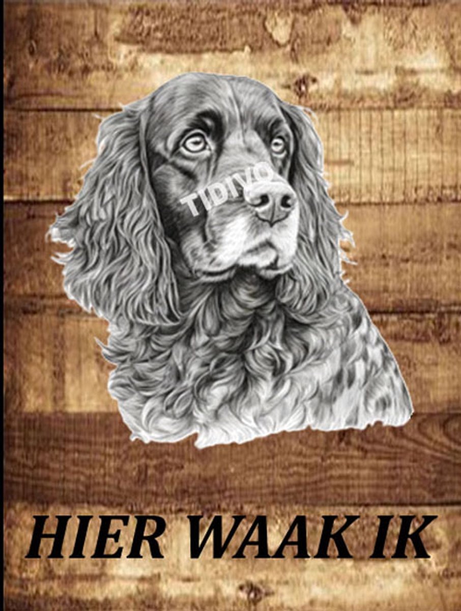 Field Spaniel 20