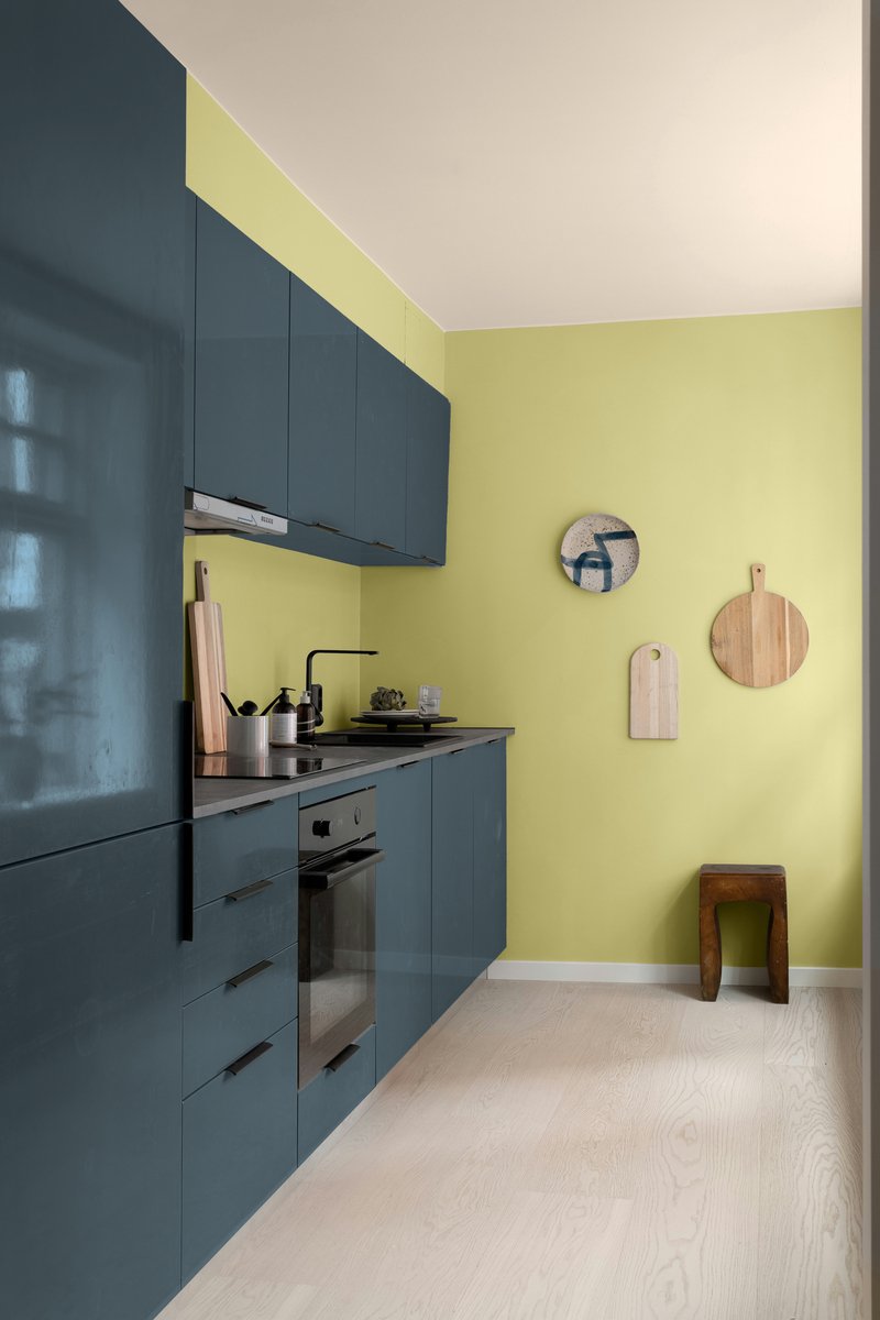 Histor MY Color Muurverf Secret Safari - Extra Mat – Reinigbaar en Geurarm – Extra Dekkend en Vochtregulerend – Voor Binnen – 2.5L – Secret Safari - Groen - Kleur van het jaar 2026 – foto 5