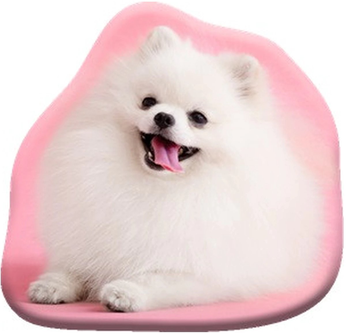 Kussen van hond