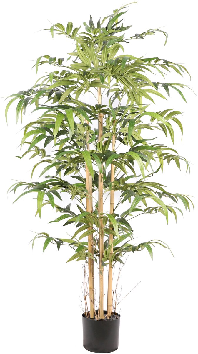 NeverLeafs Bamboe Japanse kunstplant - 160 cm