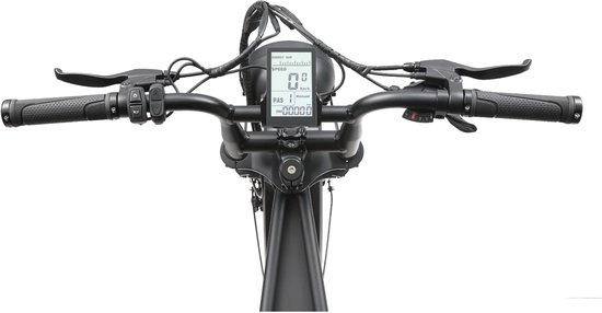 Ape Ryder A10 fatbike display LCD scherm waterdicht IP65 met snelheid, batterij, tripmeter, plug & play