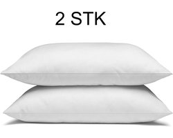 Dreamswan Eco Kussen - Set van 2 - Wit - 60x70cm