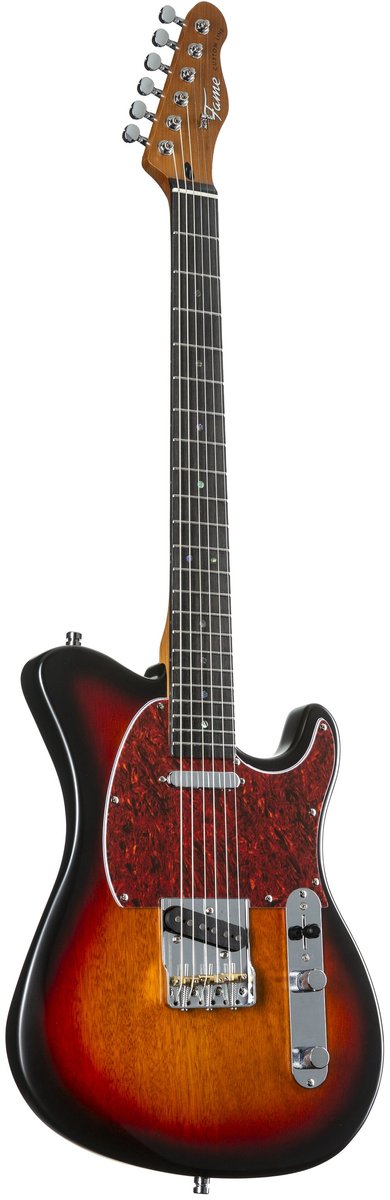 Fame Custom TL RW Sunburst - Elektrische gitaar