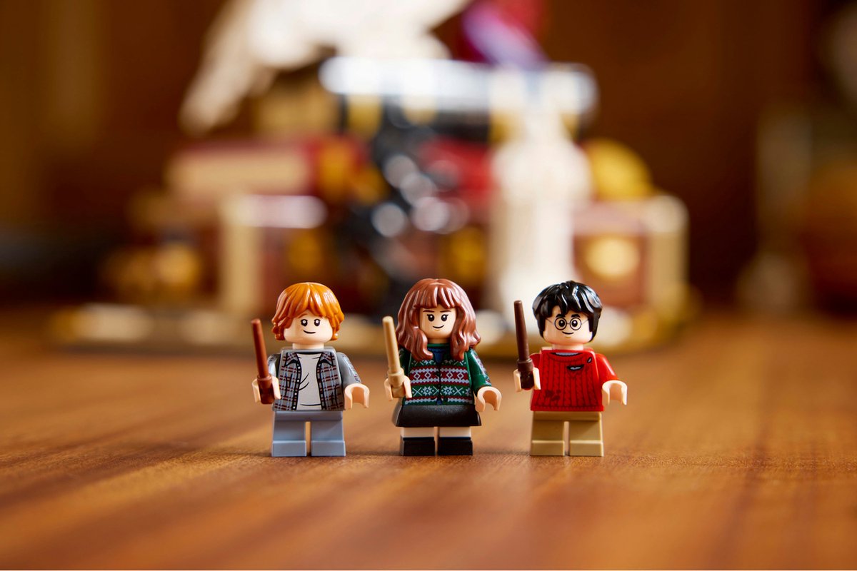 LEGO Harry Potter Steen der Wijzen - 76466 — afbeelding 11