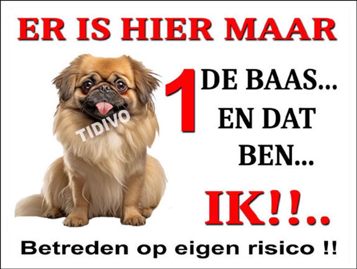Pekingees 26