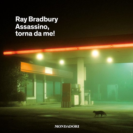 Assassino, torna da me! - cover
