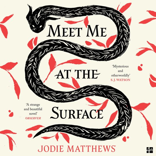 Meet Me at the Surface - cover
