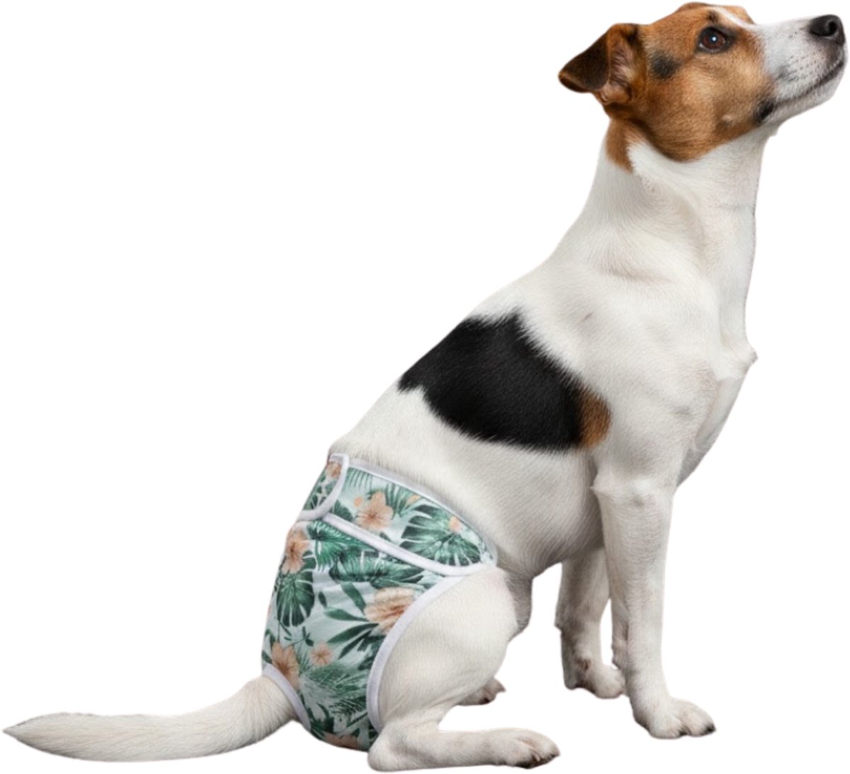 Loopsheidbroekje hond Monstera Maat M - Voor middelgrote honden - Herbruikbaar - Hondenbroekje - hondenluier - loopsheid - ongesteldheid - voorkomt ongewenste zwangerschappen bij teefjes - milieuvriendelijk - verantwoord - perfecte pasvorm