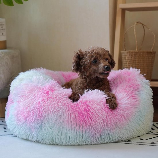 Hollypet