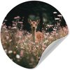 Cerfs - Fleurs sauvages - Forêt
